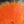 Close up of dyed hot orange arctic fox tail fur used for fly tying.
