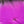 Close up of dyed pink arctic fox tail used for fly tying.
