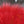 Close up of dyed red arctic fox tail fur used for fly tying.