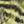 Hareline Black Barred Groovy Rabbit Strips