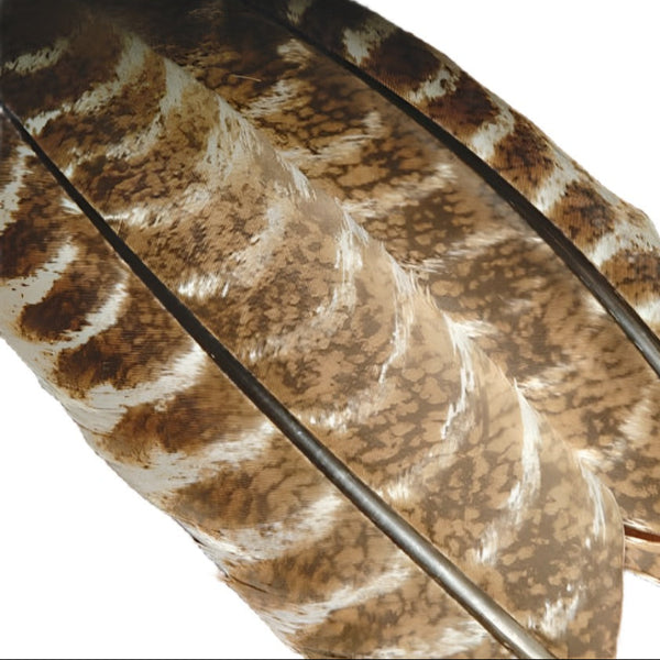 Hareline Ozark Oak Mottled Turkey Quills