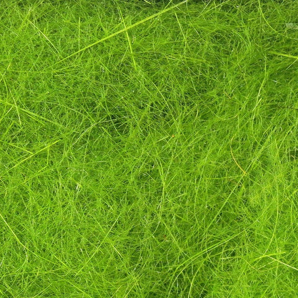close up loose hareline dubbin rabbit hair dubbing caddis green