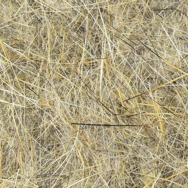 close up loose hareline dubbin rabbit hair dubbing hares ear