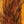 Hareline Squirrel Tail