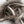 Hareline Standard Rabbit Strips
