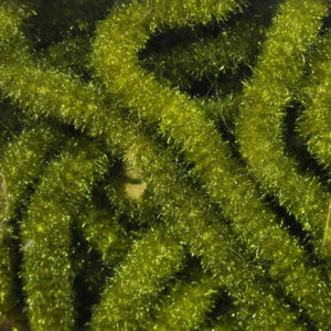 A close-up image of olive green Hareline Trilobal Antron Chenille for fly tying, showing the texture and material detail.