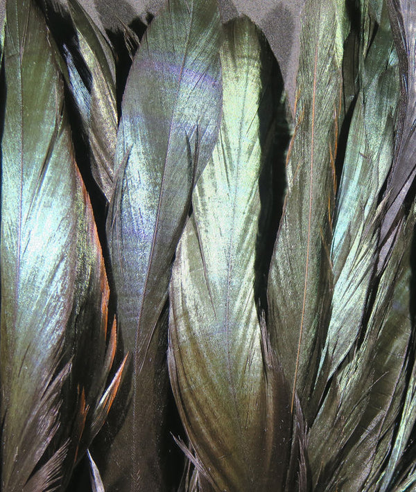 Hareline Iridescent Black Schlappen