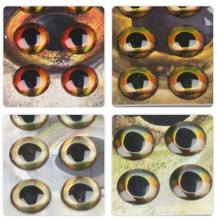 Fish Skull Living Eyes
