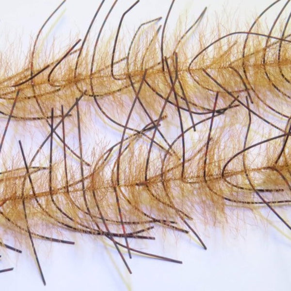 A pair of Just Add H2O Lively Legs Crustacean Brush in redfish orange and black bar on a white background.