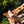 Loon Outdoors Amadou Patch