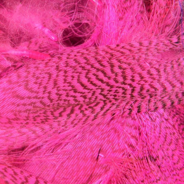 Wapsi Barred Mallard Flank Large Select Feathers