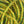 Hareline Micro Pearl Core Braid
