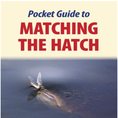Pocket Guide To Matching The Hatch by Peter Lapsley