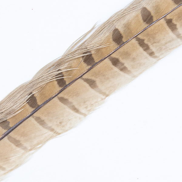 Wapsi Ringneck Pheasant Tail Feathers