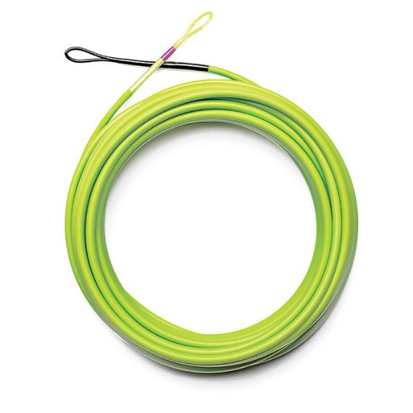Airflo Skagit Scout Shooting Head  Two-Hand Fly Fishing Lines – Fish Tales  Fly Shop