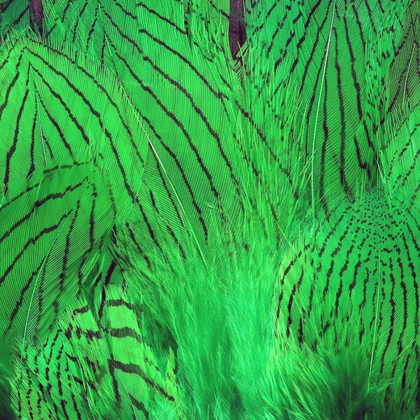 Hareline Silver Pheasant Body Feathers