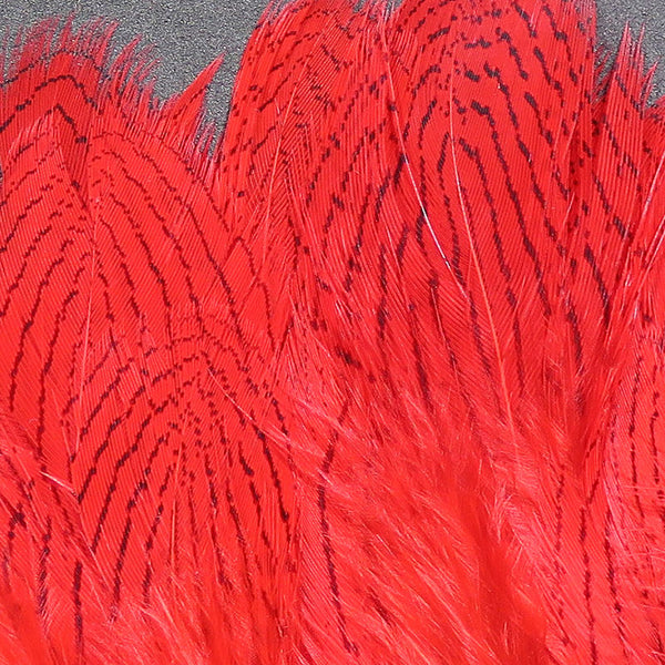 Hareline Silver Pheasant Body Feathers