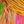 Hareline Tiger Barred Rabbit Strips